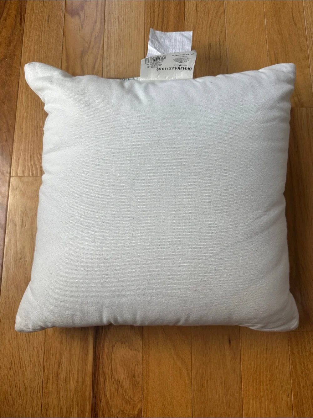 Opalhouse Embroidered Citrus & Bee Accent Pillow in Yellow, Green, Pink, Blue